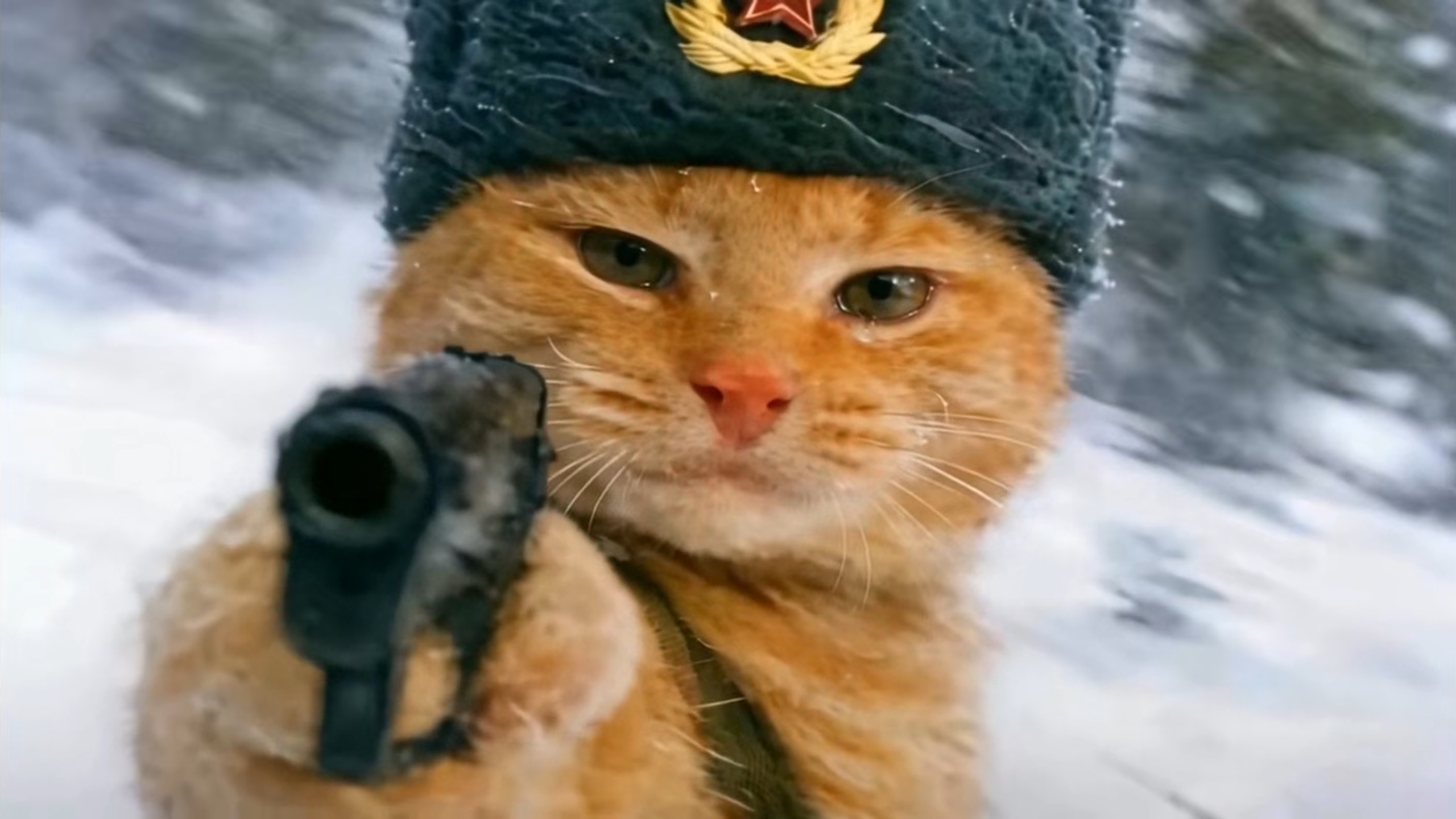 附录：OI Wiki 外链导航与跳过清单